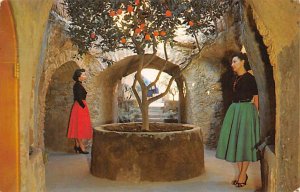 Underground Gardens Fresno CA