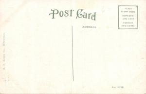 MADISON WISCONSIN~THE NEW PARK HOTEL& ANNEX POSTCARD 1910s