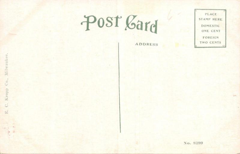 MADISON WISCONSIN~THE NEW PARK HOTEL& ANNEX POSTCARD 1910s