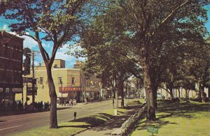 Charlotte Street , ST. JOHN , New Brunswick , Canada , 50-60s