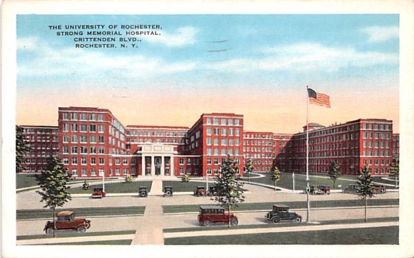 University of Rochester New York Postcard