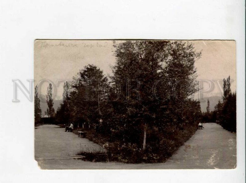 3171315 Kyrgyzstan PRZHEVALSK Karakol Garden Vintage PHOTO PC