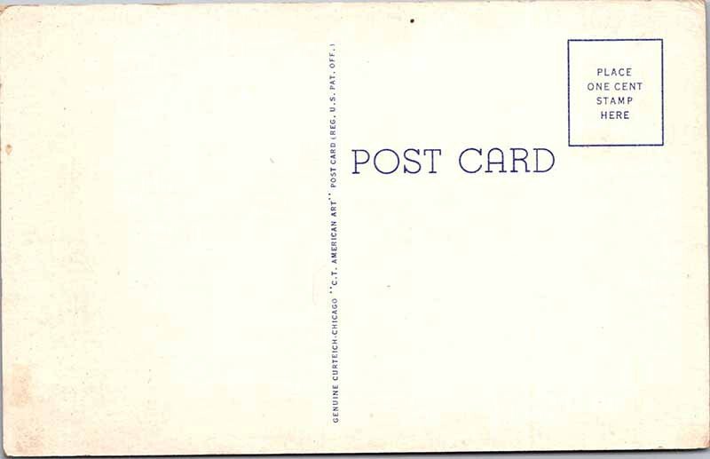 Postcard LIBRARY SCENE Pine Bluff Arkansas AR AL7092