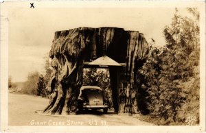 PC US, WASHINGTON, GIANT CEDAR STUMP, US 99, Vintage REAL PHOTO Postcard(b45731)