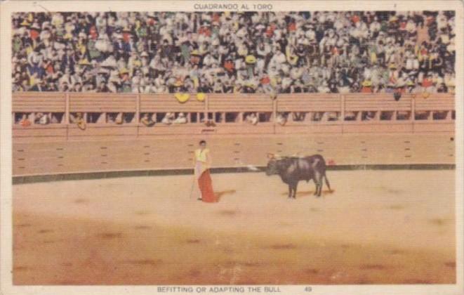 Bull Fight Befitting Or Adapting The Bull