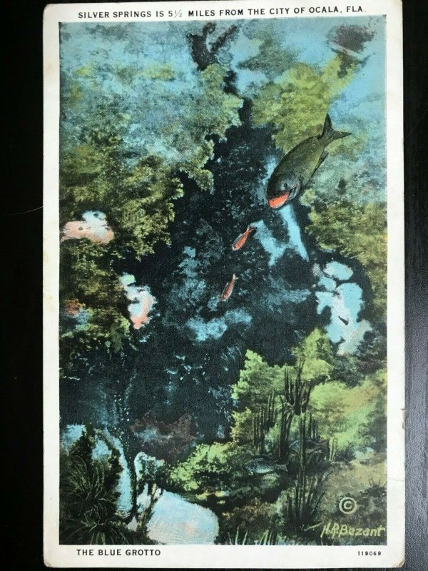 Vintage Postcard 1915-1930 Silver Springs The Blue Grotto Ocala Florida