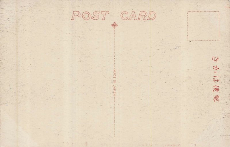 Japan~YASHAMON (GATE) IYEMITSU TEMPLE, NIKKO  門叉夜公代三光日-Tinted Photo POSTCARD