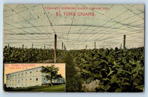 San Juan Puerto Rico Postcard Tobacco El Toro Cigars c1910 Antique Posted