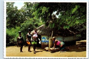 Postcard - Zulu women in their natural habitat, Natal - South Africa