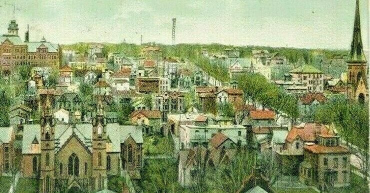 Postcard Early Birds Eye View of Grand Rapids, MI.             S2