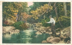 Man Trout Fishing in River WB Postcard Used, Flag Cancel, Detroit Phostint