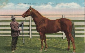 Kentucky, 1930-1940s; Race Horse  MAN O'WAR