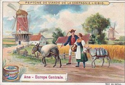 Liebig Vintage Trade Card S602 Beasts Of Burden 1899 Ane Central Europe