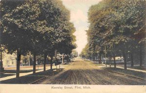 Kearsley Street Flint Michigan 1910 postcard