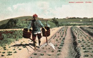 Vintage Postcard Market Gardener Vegetable Cultivation China