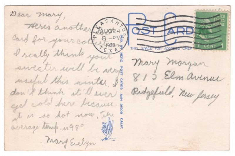 Nopal in Bloom, Texas, United States