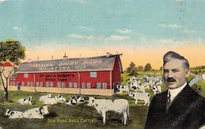 LPS52 WAUKESHA Wisconsin Model Dairy Barn Postcard
