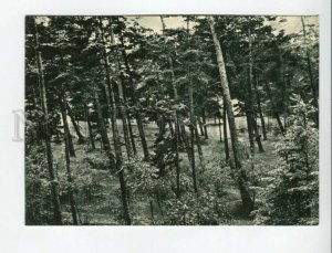 469728 USSR 1966 year Lithuania Palanga view from Birute hill postcard