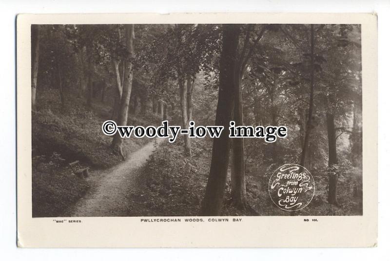 tq1292 - The Foot Path through the Pwllycrochan Woods, at Colwyn Bay - postcard 