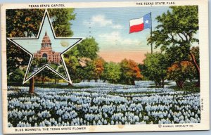 postcard Texas State Capitol - State Flag - Blue Bonnets