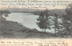 Stevensville New York~Horse-Shoe Lake View~1907 Postcard