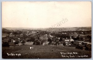 K32/ Elbridge New York RPPC Postcard c1910 Birdseye Homes Stores 408