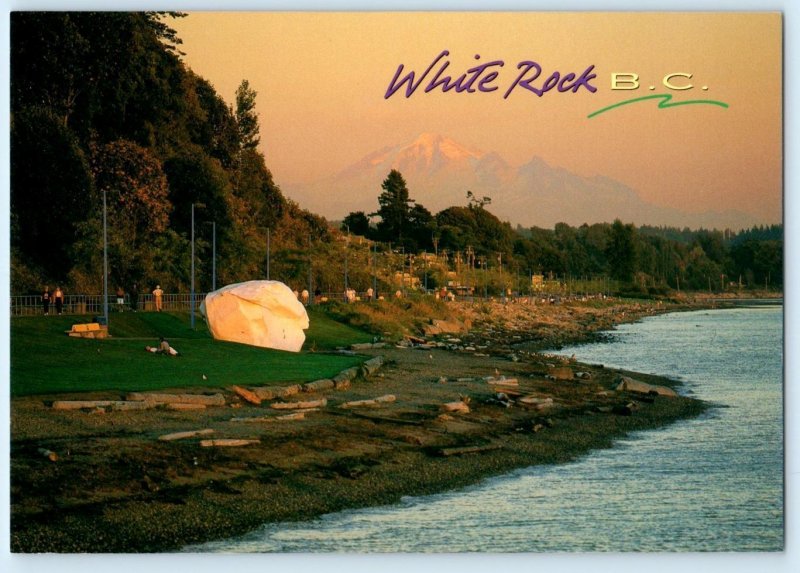 WHITE ROCK, B.C. British Columbia Canada ~ BOULDER on BEACH 4¾x6¾ Postcard