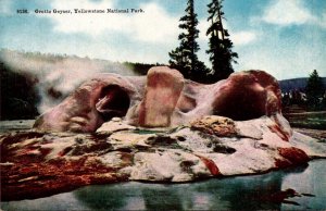 Yellowstone National Park Grotto Geyser