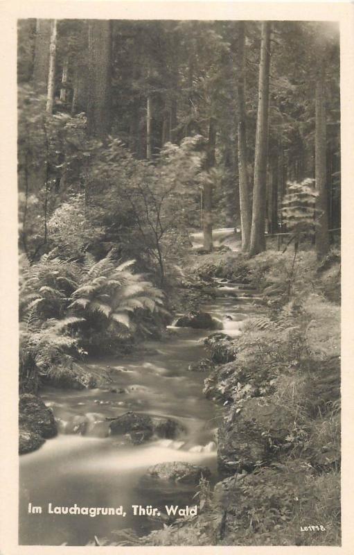 Germany Im Lauchagrund Thur. Wald Forest Photo postcard foto AK
