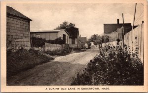 An Old Lane in Edgartown MA Vintage Postcard Z09