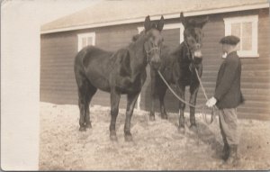 RPPC Postcard Boy Holding Two Horses c. 1900s