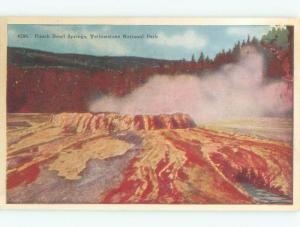 Damaged-Back W-Border PUNCH BOWL SPRINGS Yellowstone National Park WY c8947