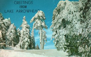 Vintage Postcard Greetings From Lake Arrowhead Western Winter Pines Mountain CA