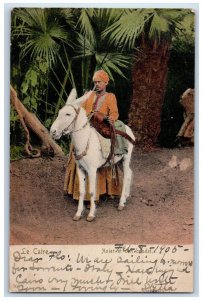 1905 Donkey Anier et Son Baudet Le Caire Cairo Egypt Antique Posted Postcard