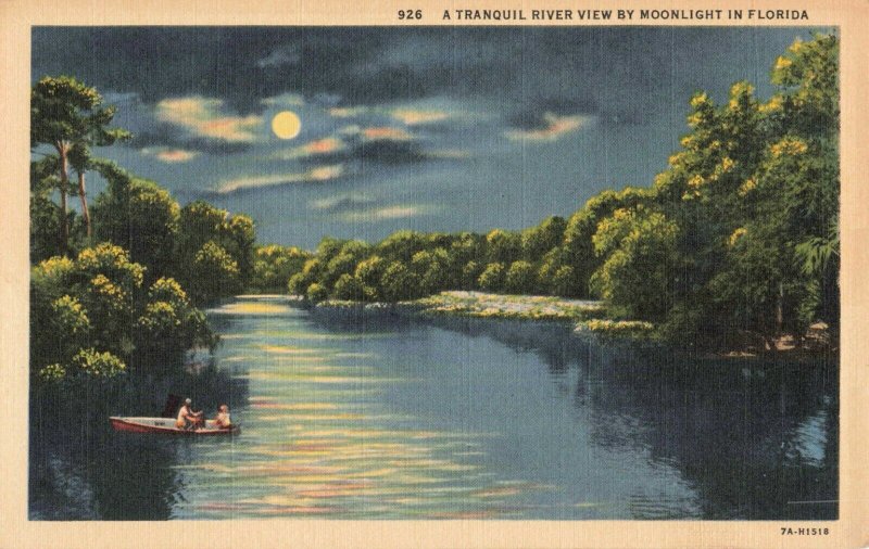 Postcard Tranquil River View by Moonlight in Florida