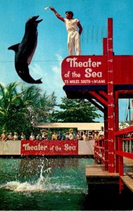 Florida Keys Islamorada Theatre Of The Sea Porpoise Jumping For Food 1956