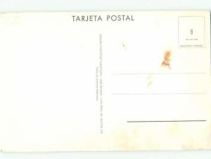 foreign c1910 Postcard LLAMA ANIMALS NEAR LIMA PERU AC2912