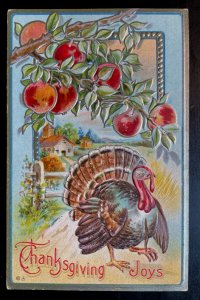 Vintage Victorian Postcard 1911 Thanksgiving Joys - Turkey with Apples