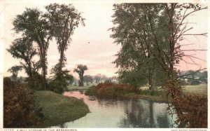 Vintage Postcard Mills Stream in the Berkshires Scenic View Detroit Publishing