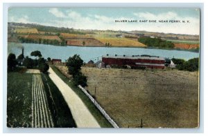 1919 View Of Silver Lake East Side Near Perry New York NY Antique Postcard