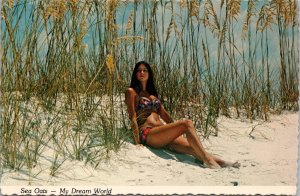 Sea Oats My Dream World Panama City Beach FL Postcard PC402