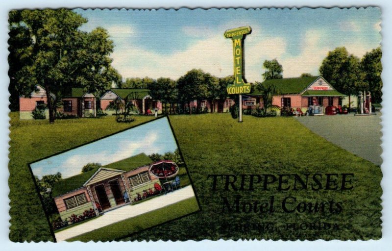 SEBRING, Florida FL~ Roadside TRIPPENSEE MOTEL COURTS Highlands County Postcard