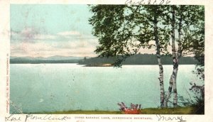 Adirondack Mountains NY-New York, Upper Saranac Lake Nature, Vintage Postcard