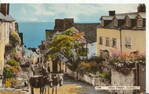 Devon Postcard - Clovelly High Street - Ref 6012A