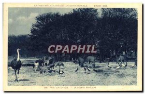 Old Postcard Exposition Coloniale Internationale De Paris Zoo's African Savan...