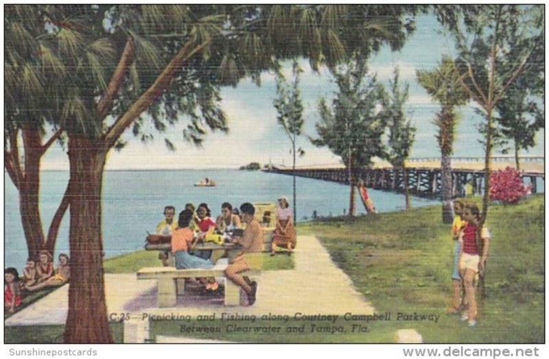 Florida Picnicking and Fishing Along Courtney Campbell Parkway Between Clearw...