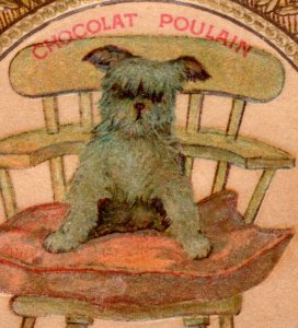 1870s-80s Die-Cut Chocolate Poulain French Shaggy Cute Dog In Chair F142