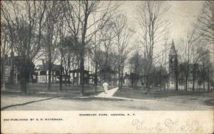 Addison NY Wombough Park c1910 Postcard