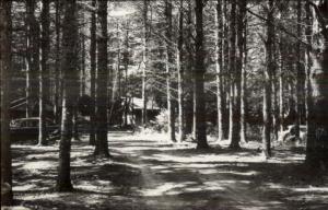 South Chatham NH Chatham Pines Real Photo Postcard #2