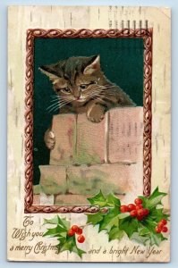 Rockford Illinois IL Postcard Christmas Holly Berries Cat Kitten Embossed Nash